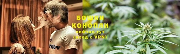 mdpv Богданович